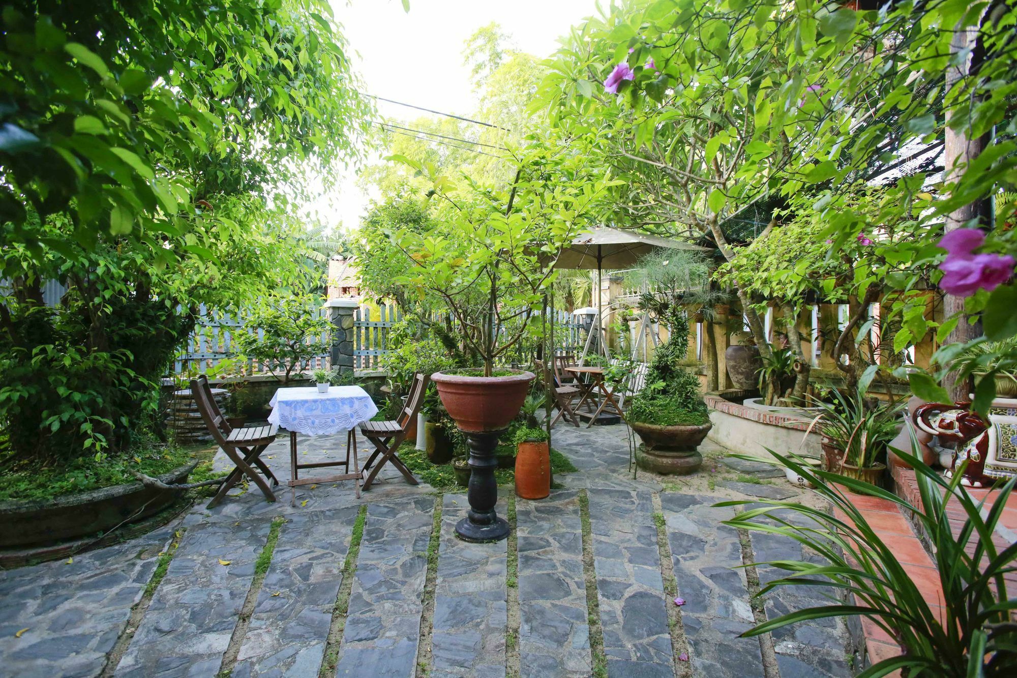 Terra Cotta Homestay Hoi An